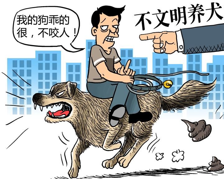 温州城区拟禁养这37个犬种养犬人违反规定要重罚！